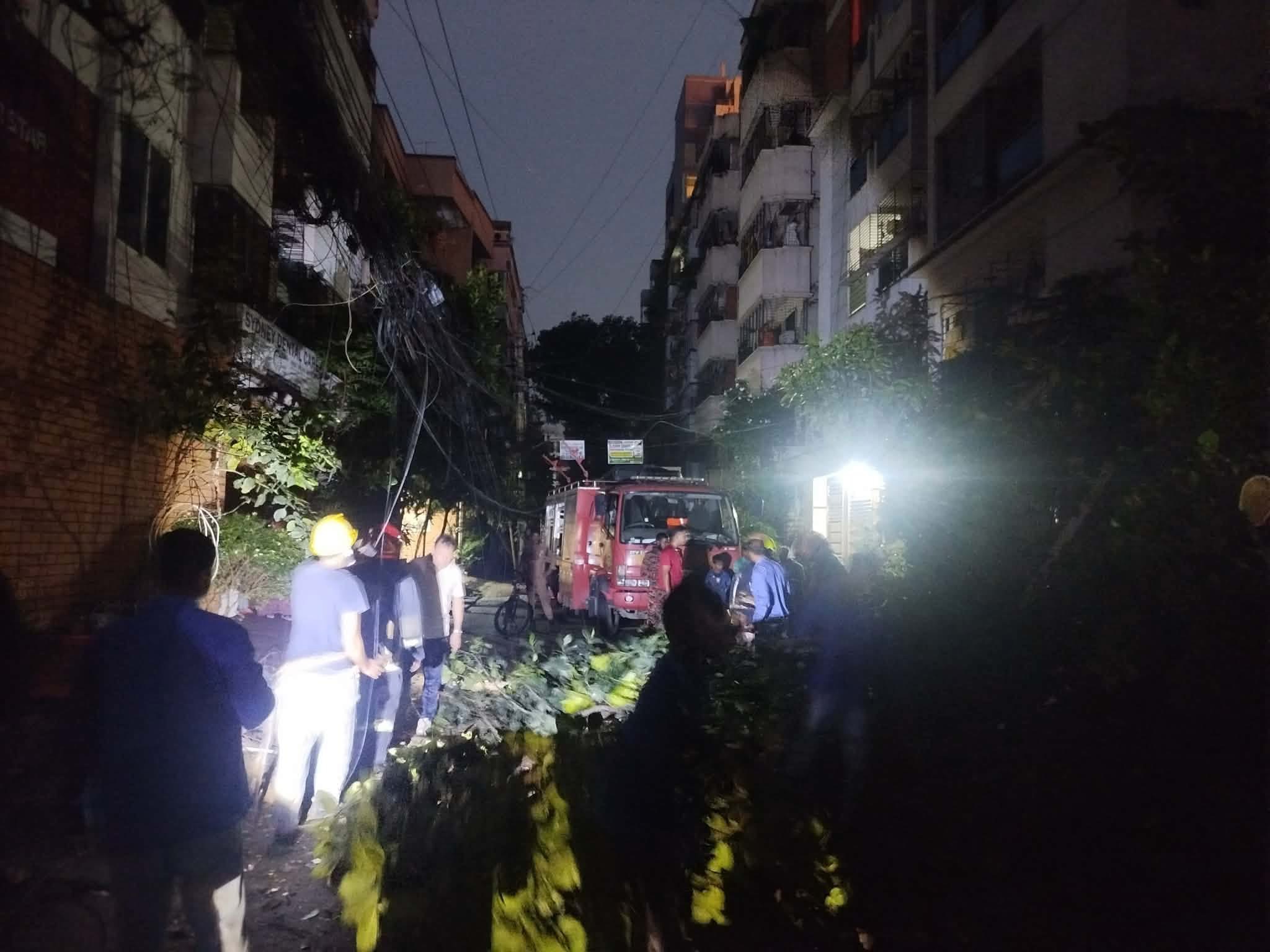উত্তরা ১১ নং সেক্টরে কাঠাঁল গাছ ভেঙে দেড় ঘন্টা বিদ্যুৎ বিচ্ছিন্ন