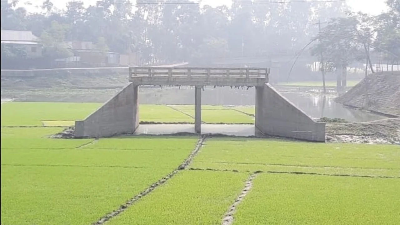 bridge-1