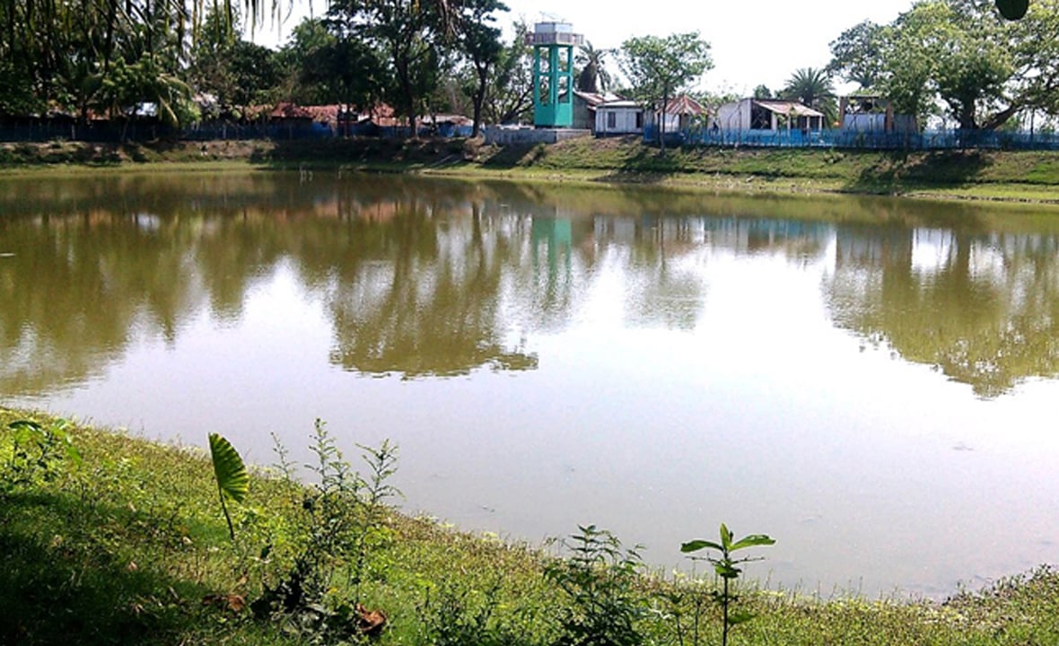 Pond