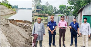 tangail veku