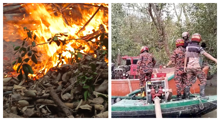 1742657700.sundarban_fire