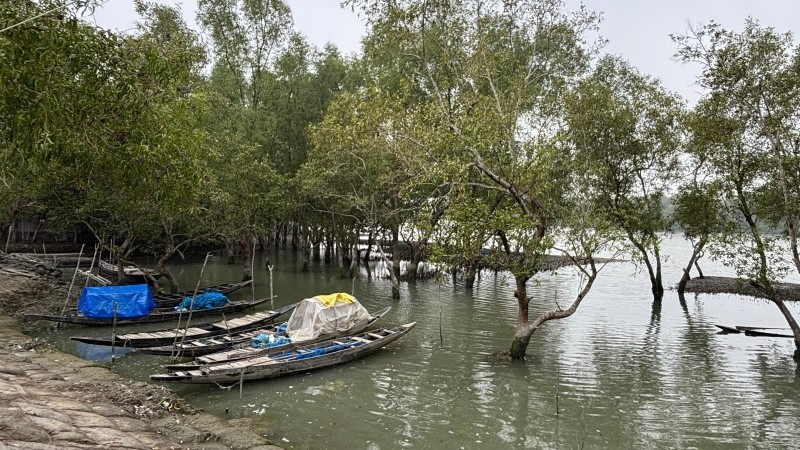 সুন্দরবনসংলগ্ন গ্রামে গৃহস্থালির কাজ করছেন নারীরা