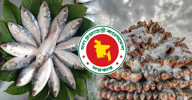 ভারতীয় ইলিশ আমদানি বন্ধ