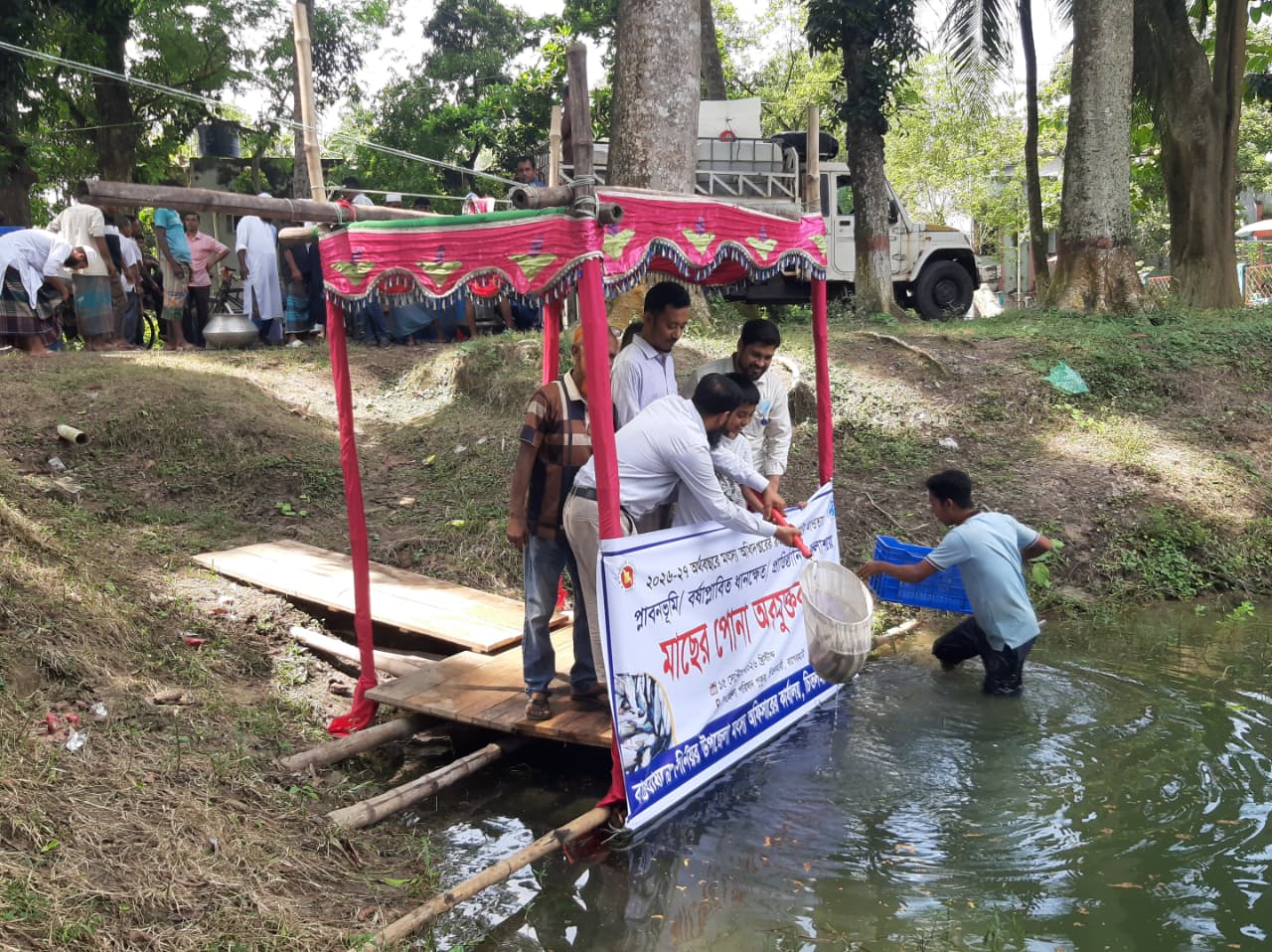 চিতলমারী উপজেলা পরিষদ পুকুরে মাছের পোনা অবমুক্ত করছেন কর্মকর্তারা