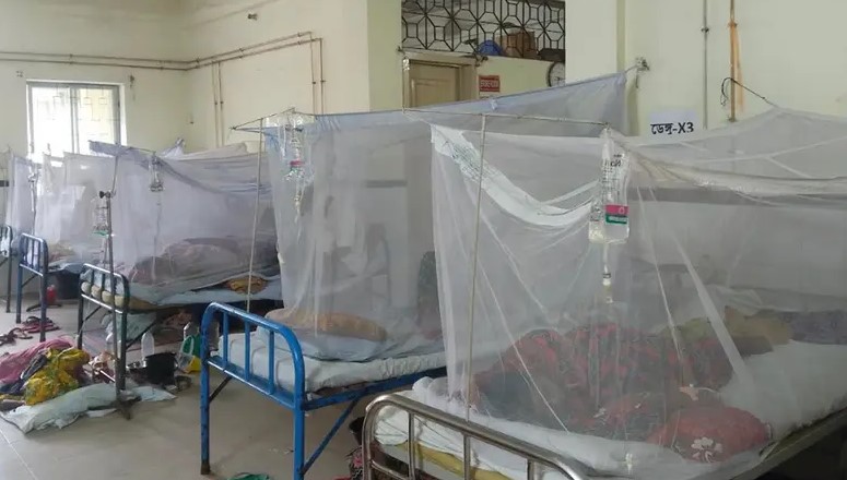 সাতক্ষীরায় ডেঙ্গু আক্রান্ত রোগীদের চিকিৎসা দেওয়া হচ্ছে হাসপাতালে