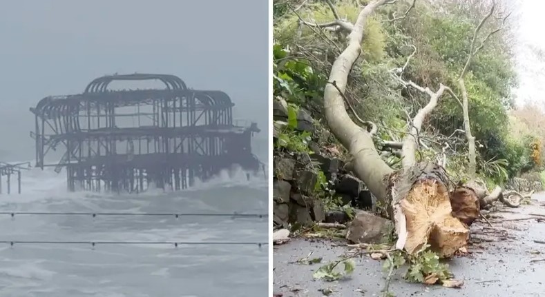 ঝড় বোয়েলোর প্রভাবে যুক্তরাজ্যে গাছ উপড়ে পড়া, বন্যার আশঙ্কা ও বিদ্যুৎ সরবরাহ ব্যাহত হওয়ার পরিস্থিতি।