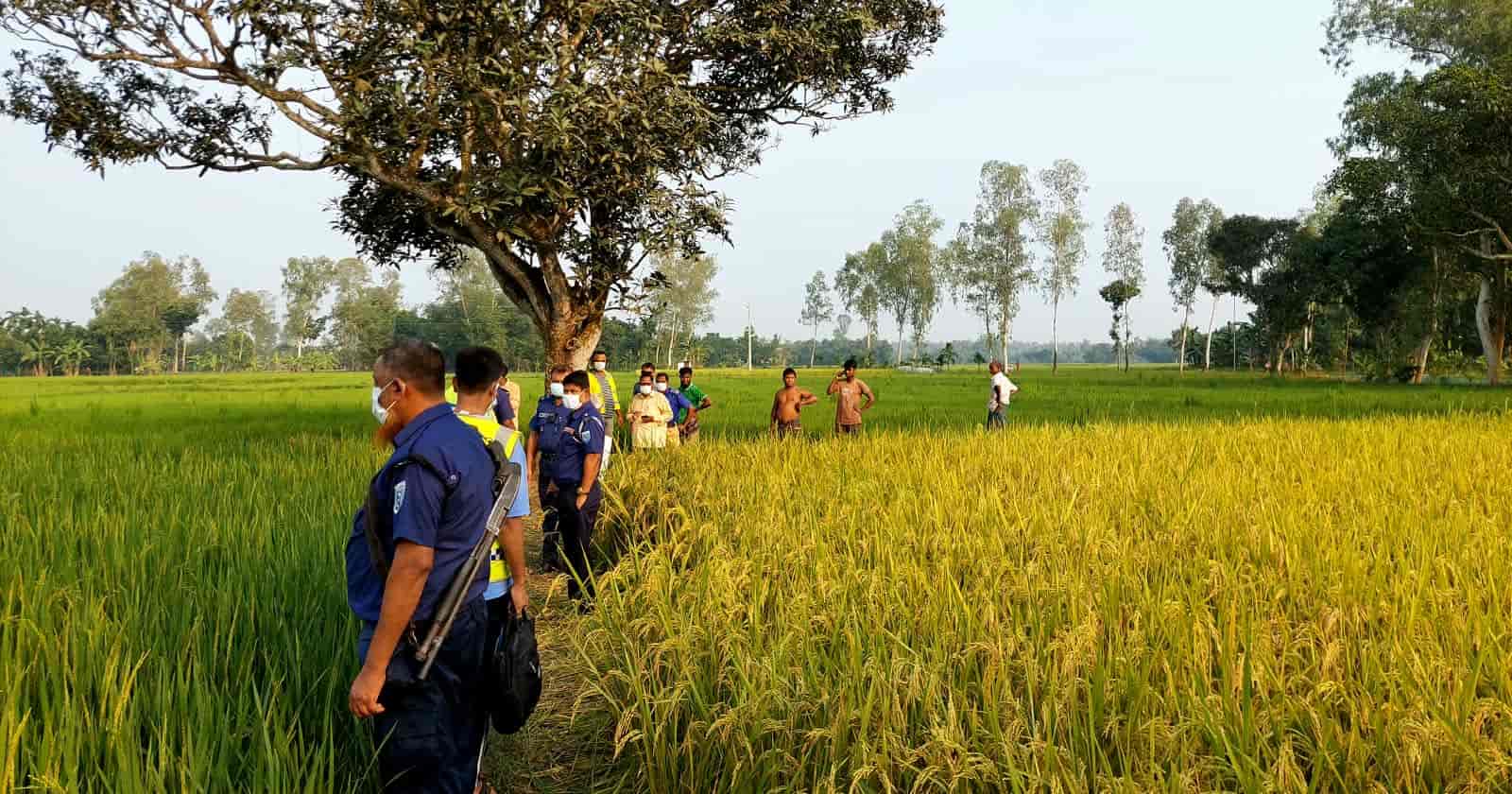 বীরগঞ্জে ধানক্ষেত থেকে কিশোরের মরদেহ উদ্ধারের স্থান