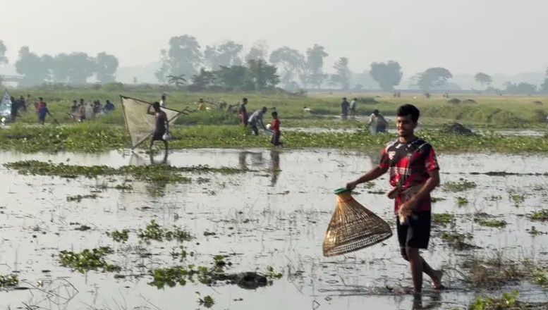ফরিদপুরের বোয়ালমারীর দাদুড়িয়া বিলে পলো ও হুসা নিয়ে মাছ ধরার ঐতিহ্যবাহী উৎসবে মানুষের অংশগ্রহণ।