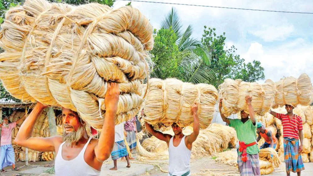 পাট রপ্তানি করে ১০ বছরে আয় ৮৪ হাজার কোটি টাকা
